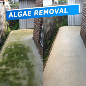 Pressure Wash algae removal